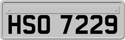 HSO7229