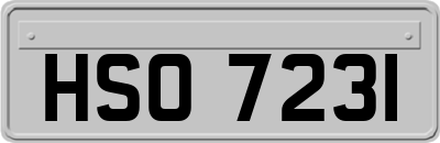 HSO7231