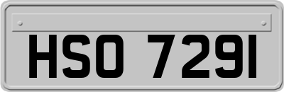 HSO7291