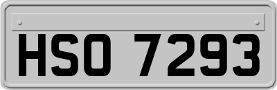 HSO7293