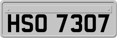 HSO7307