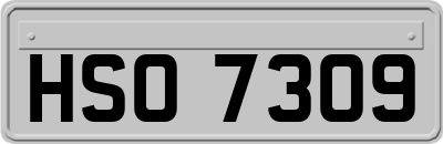 HSO7309