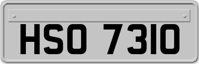 HSO7310