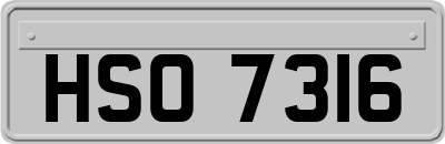 HSO7316