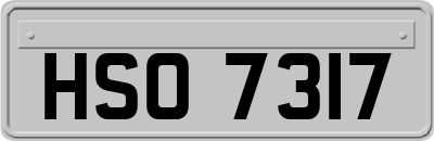 HSO7317