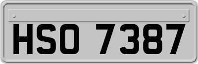 HSO7387