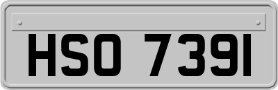 HSO7391