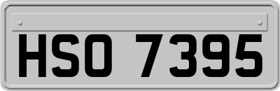 HSO7395