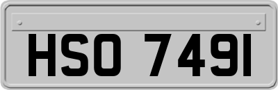 HSO7491