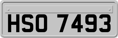 HSO7493