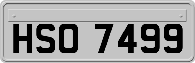 HSO7499