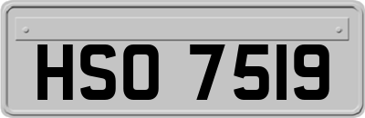 HSO7519