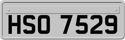 HSO7529