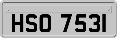 HSO7531