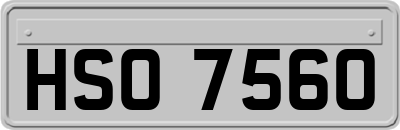 HSO7560
