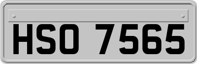 HSO7565