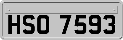 HSO7593