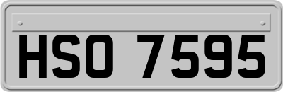HSO7595