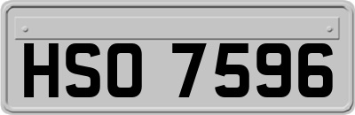 HSO7596