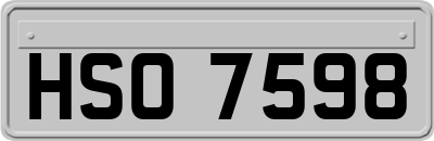 HSO7598