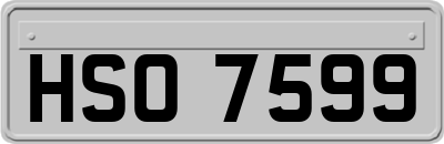 HSO7599
