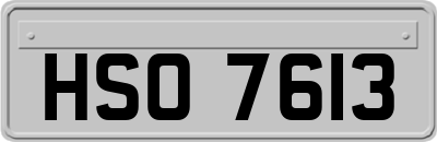 HSO7613