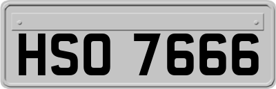 HSO7666