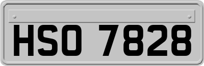 HSO7828