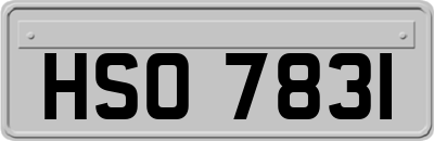 HSO7831