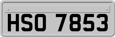 HSO7853