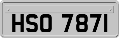 HSO7871