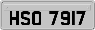 HSO7917