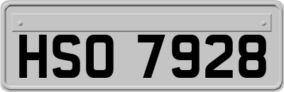 HSO7928