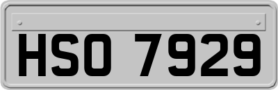 HSO7929