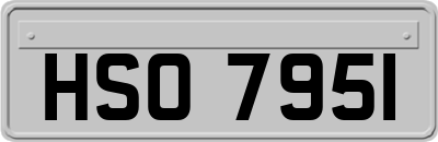 HSO7951