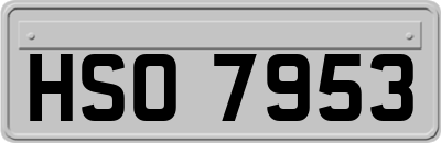 HSO7953