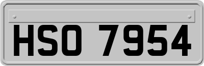 HSO7954