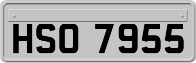 HSO7955