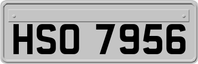 HSO7956