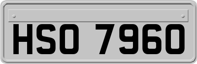 HSO7960