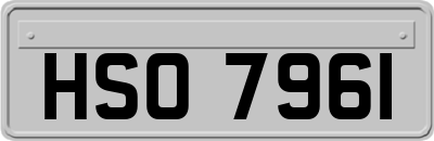 HSO7961