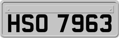 HSO7963