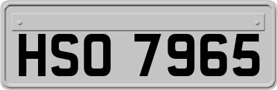 HSO7965
