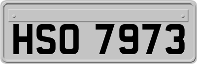 HSO7973