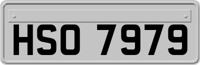 HSO7979