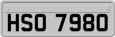 HSO7980