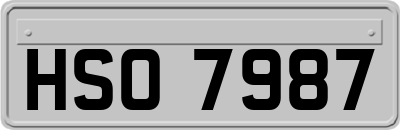 HSO7987