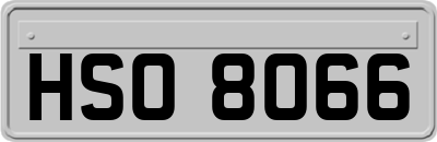 HSO8066