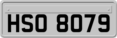 HSO8079
