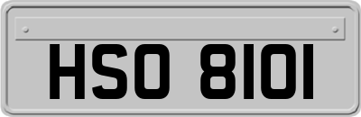 HSO8101